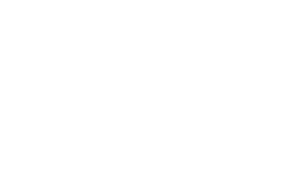 Price Point NY logo with flame design.