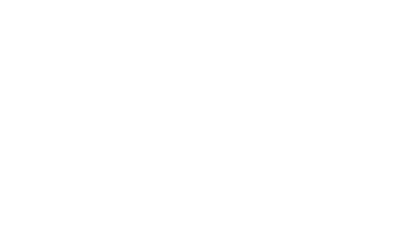 Price Point NY logo with flame design.