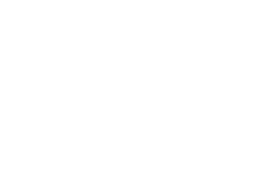 Price Point NY logo with flame design.